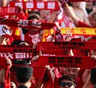 开云-包含国内赛事激烈对抗，场面惊险刺激，球迷齐心助威的词条